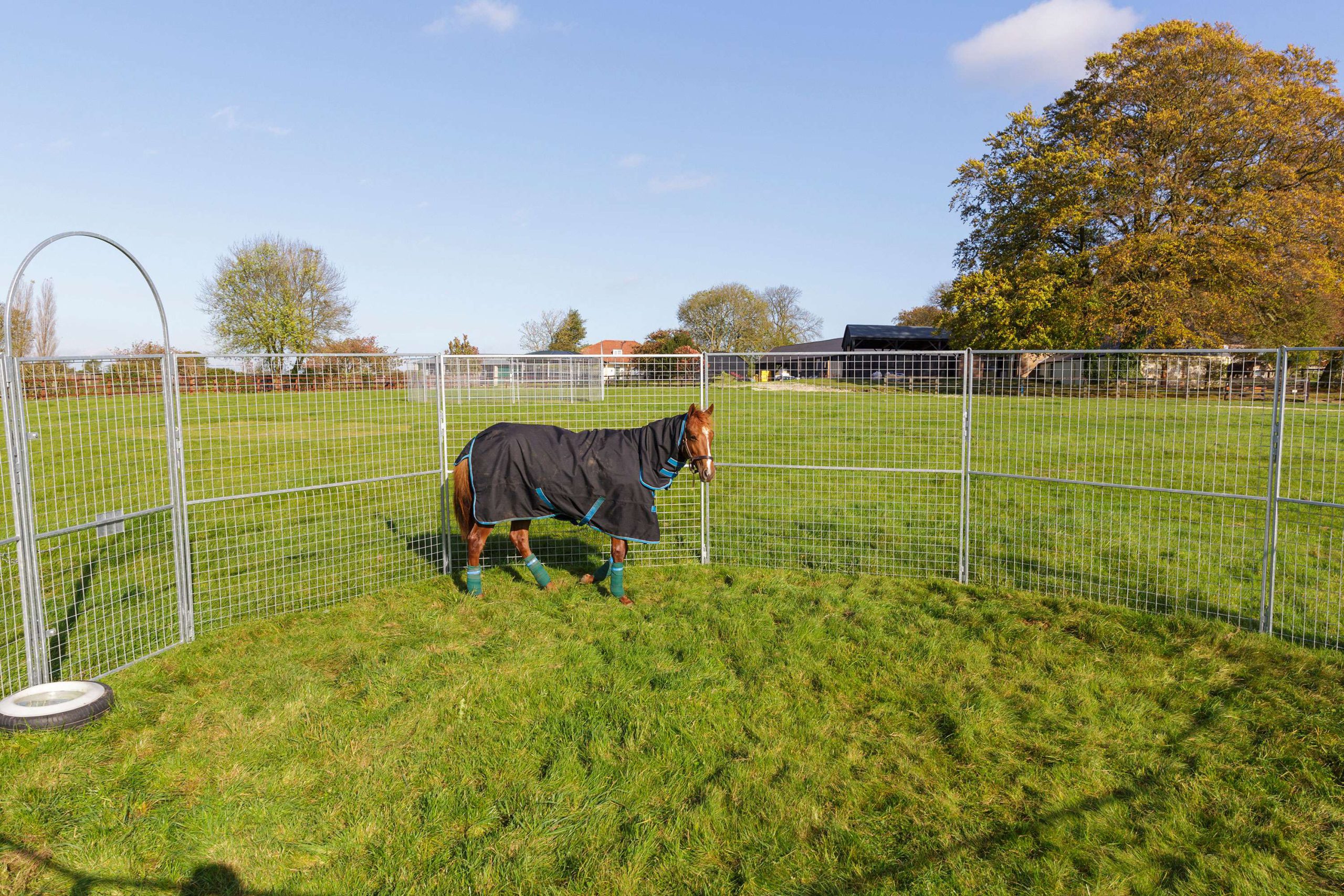 Turn out pen and paddocks